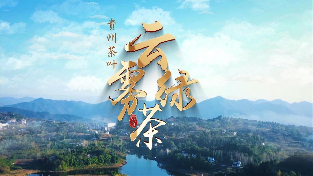 贵农生态交易中心-大宗商品交易场所业务各环节风险梳理