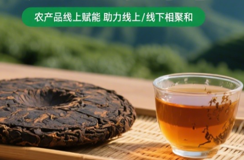 鄂南农商-从大山到市场：贵州茶叶交易中心如何以6%交割率撬动200亿产业升级